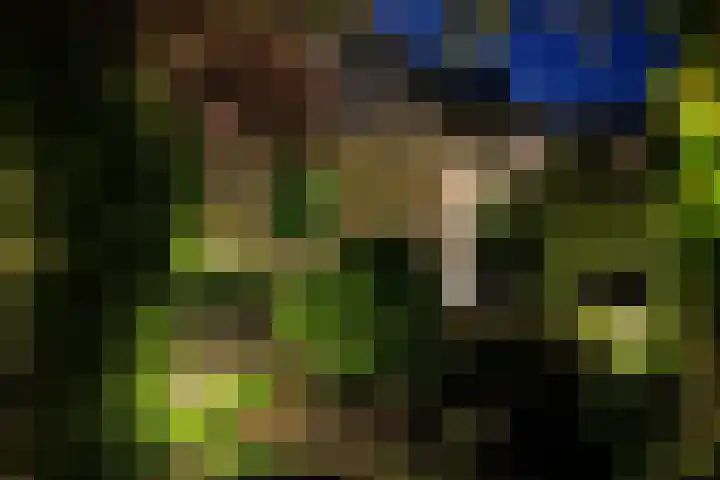Tribunusallee 89 Huissen thumbnail 44