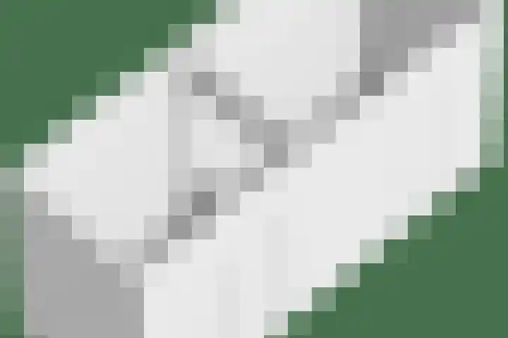 Tribunusallee 89 Huissen thumbnail 59