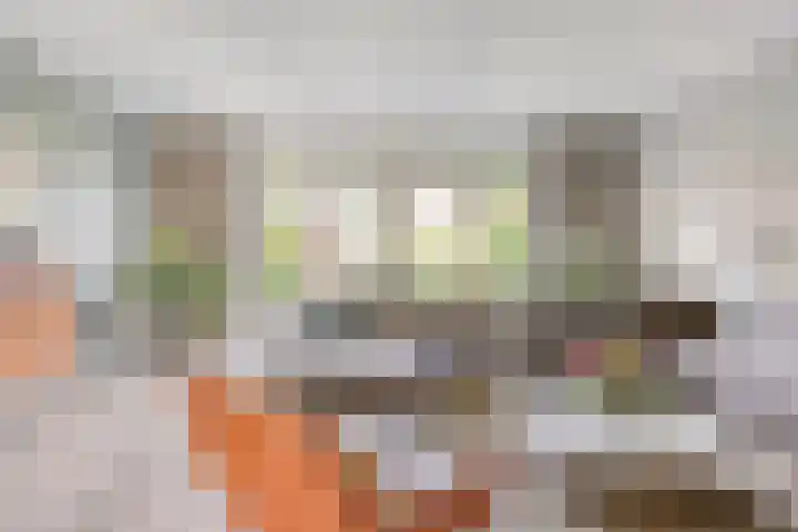 Tribunusallee 89 Huissen thumbnail 8