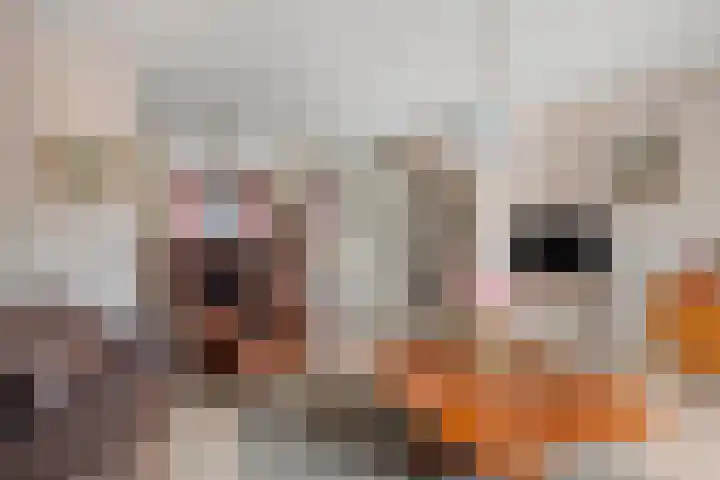Trichterberg 31 De Meern thumbnail 10