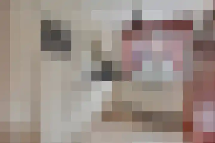 Trichterberg 31 De Meern thumbnail 11