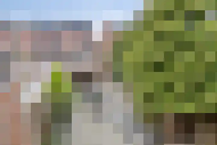 Trichterberg 31 De Meern thumbnail 16
