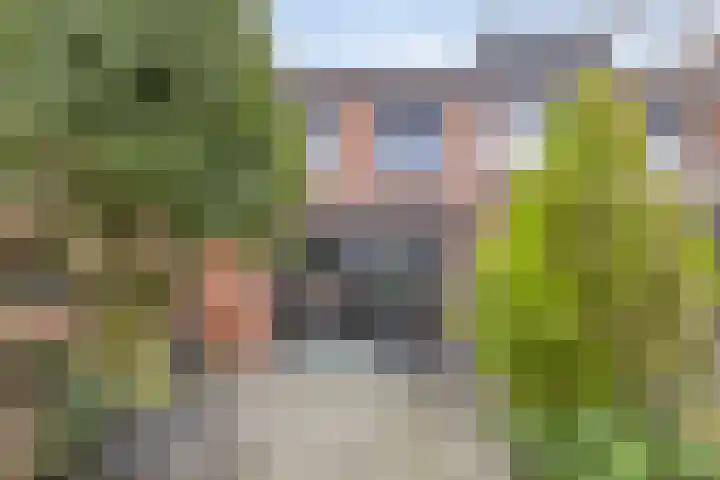 Trichterberg 31 De Meern thumbnail 26