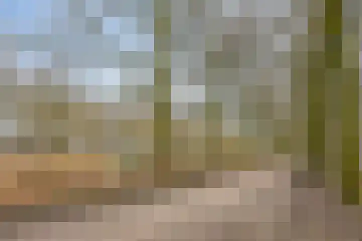 Trichterberg 31 De Meern thumbnail 34