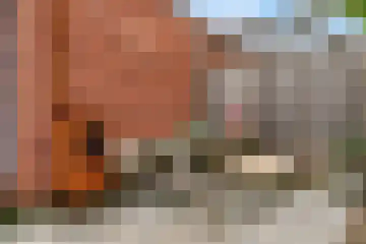 Trichterberg 51 De Meern thumbnail 34