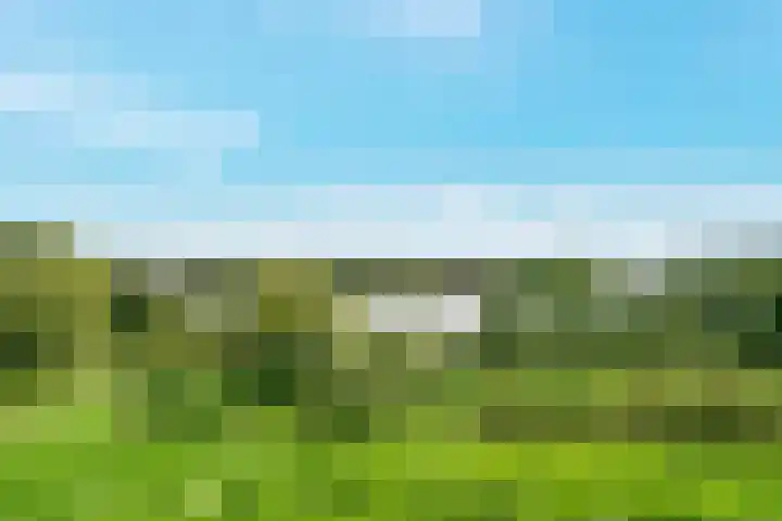 Trichterberg 51 De Meern thumbnail 41