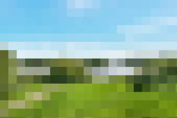 Trichterberg 51 De Meern thumbnail 42