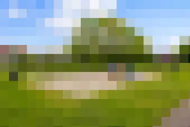 Trichterberg 51 De Meern thumbnail 43