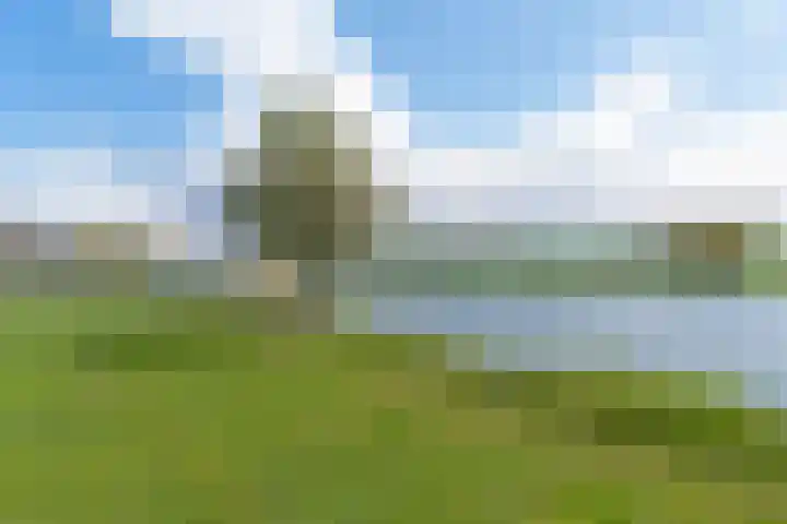 Trichterberg 51 De Meern thumbnail 44
