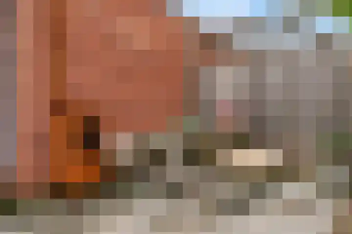 Trichterberg 51 De Meern thumbnail 7