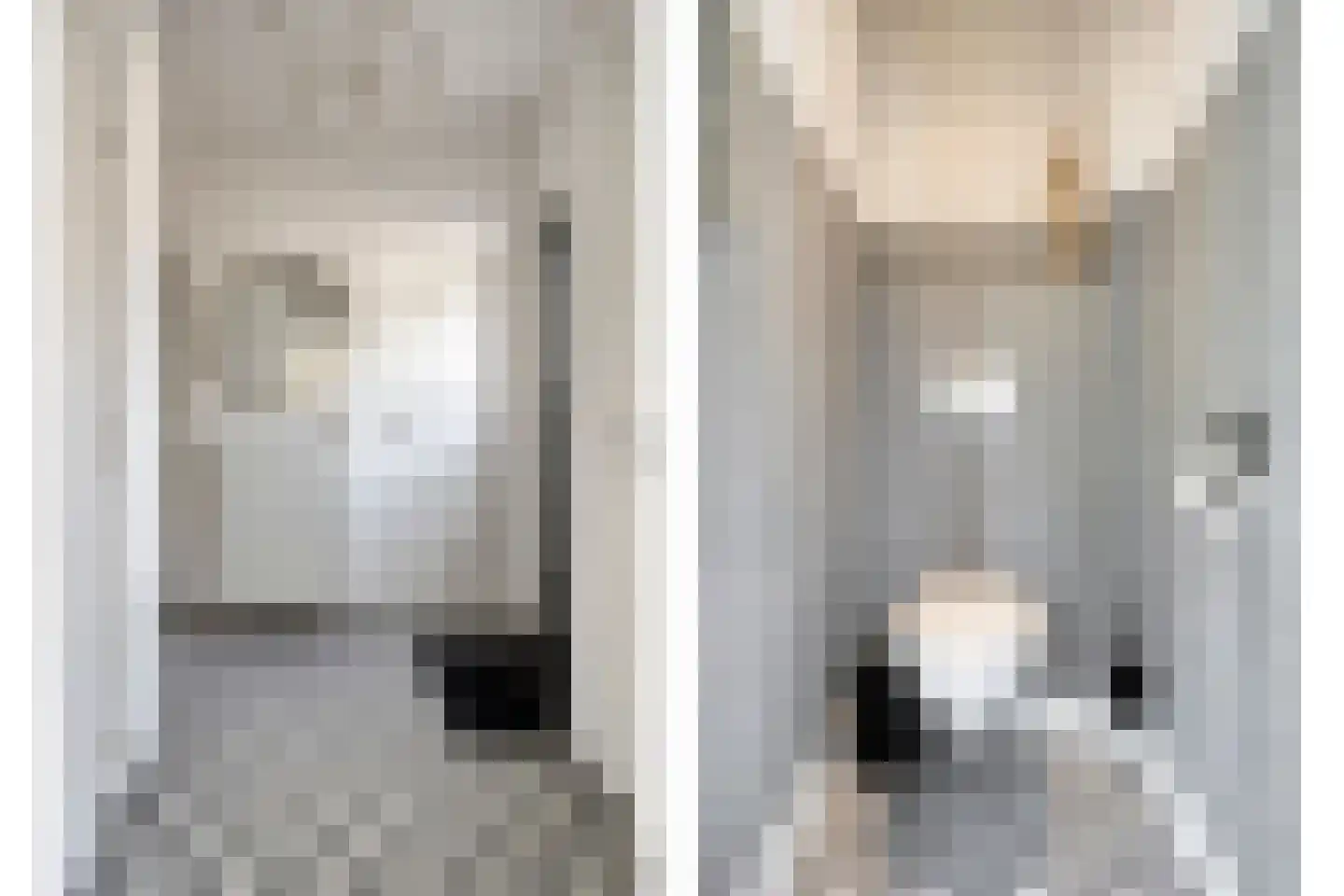 Trichterstraat 13 Schimmert thumbnail 16