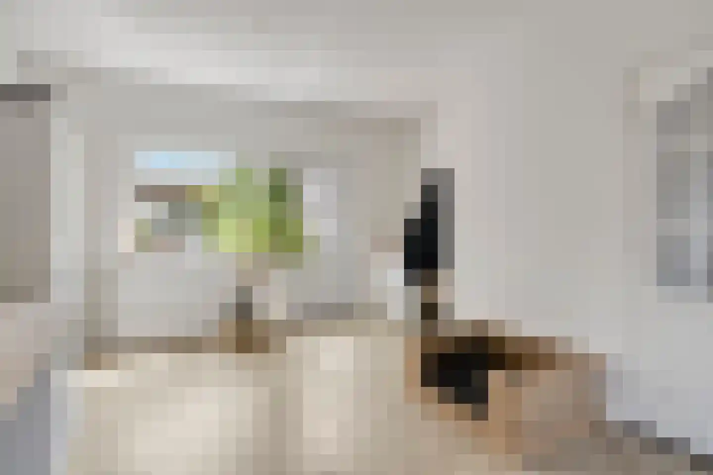 Trichterstraat 13 Schimmert thumbnail 18