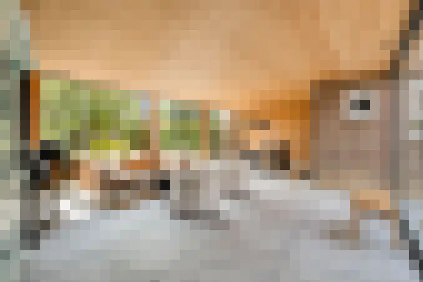 Trichterstraat 13 Schimmert thumbnail 40