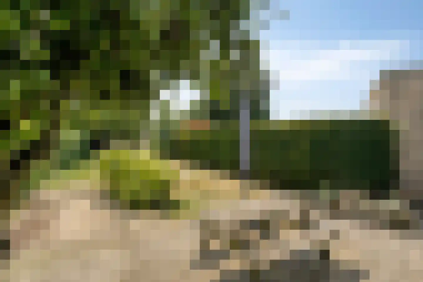 Trichterstraat 13 Schimmert thumbnail 44