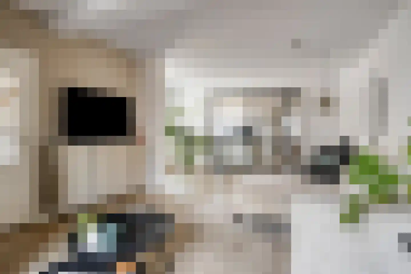 Trichterstraat 13 Schimmert thumbnail 6