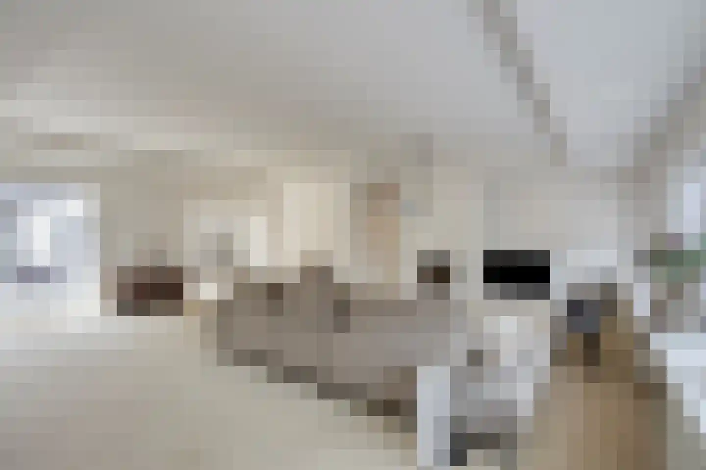 Trichterweg 1 Cadier en Keer thumbnail 10