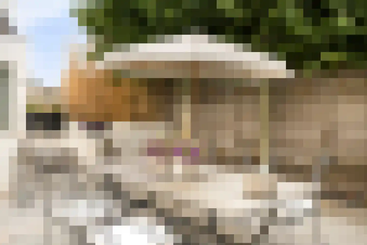 Trichterweg 1 Cadier en Keer thumbnail 43