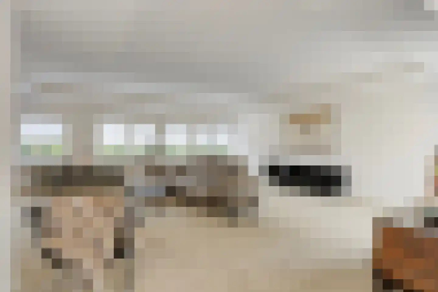 Trichterweg 1 Cadier en Keer thumbnail 5