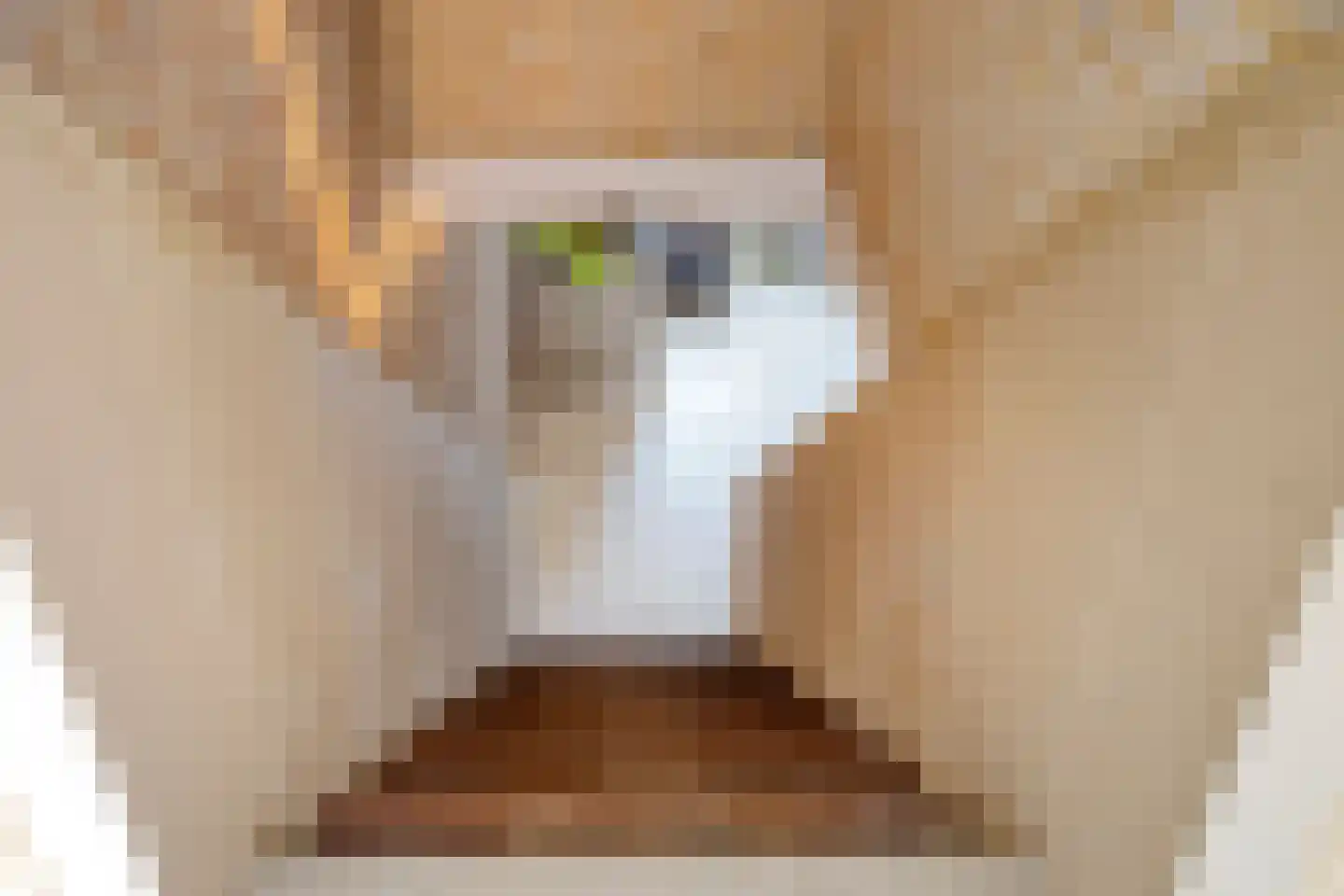 Trichterweg 1 Cadier en Keer thumbnail 66