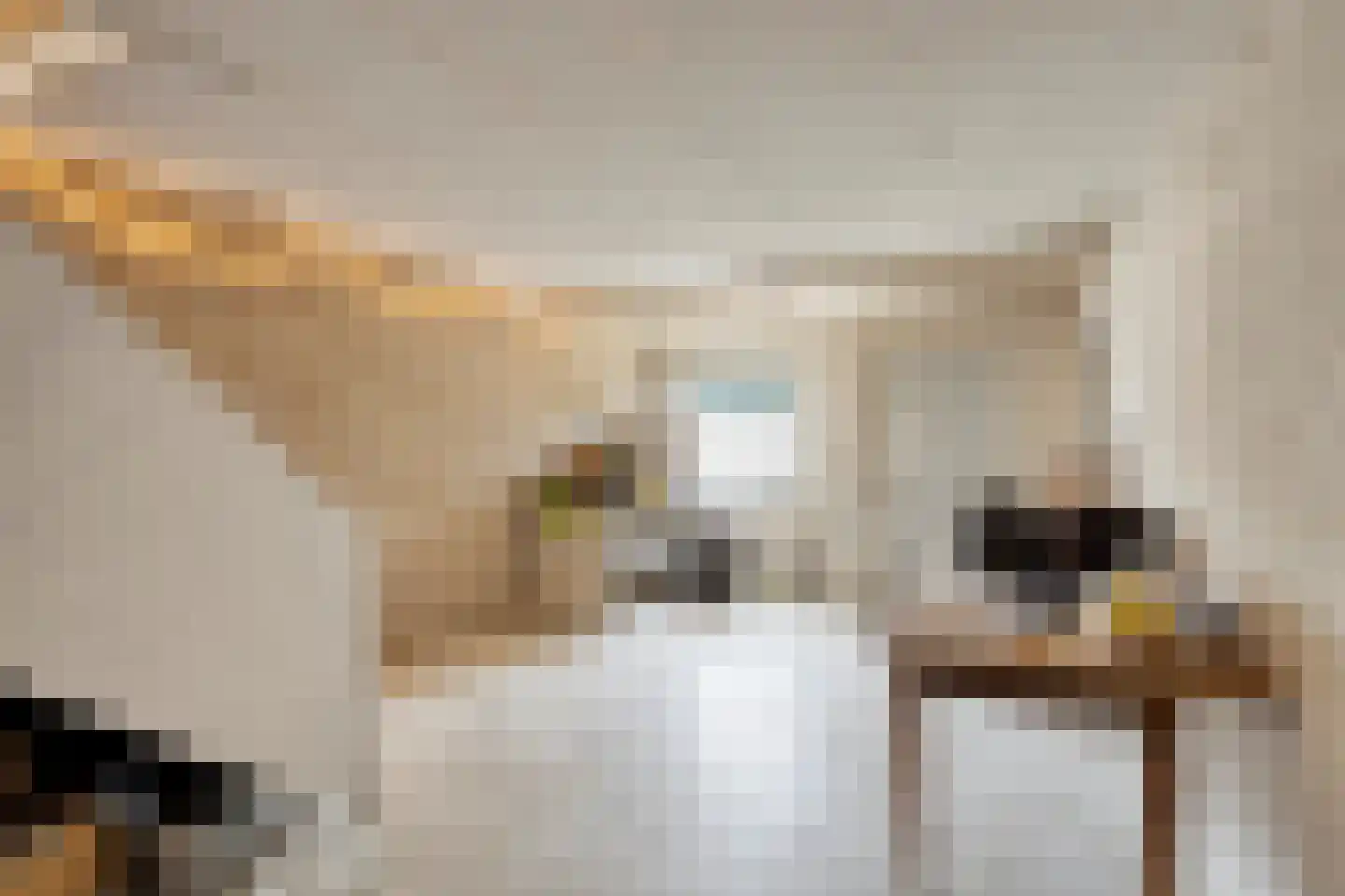 Trichterweg 1 Cadier en Keer thumbnail 69