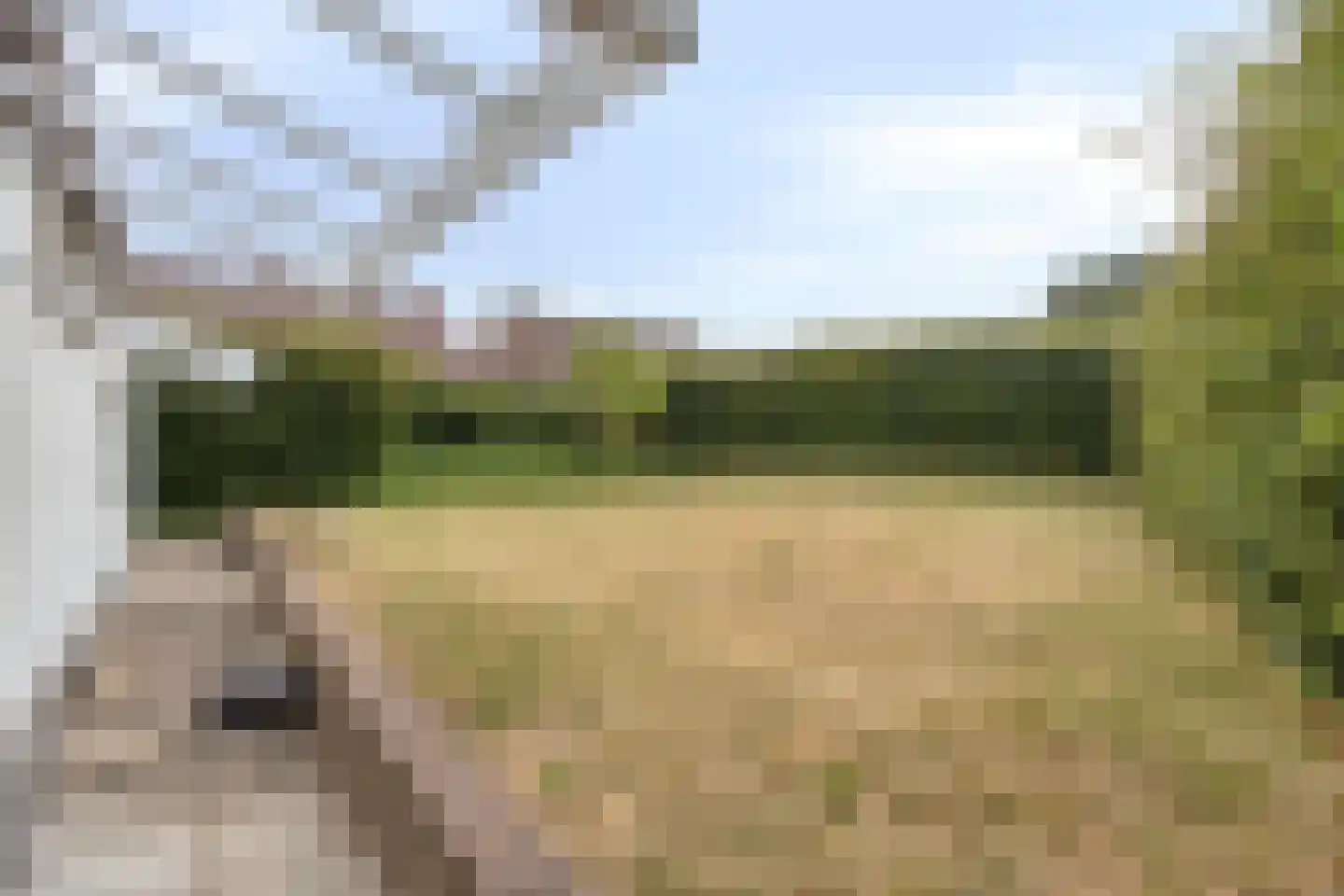 Trichterweg 1 Cadier en Keer thumbnail 72