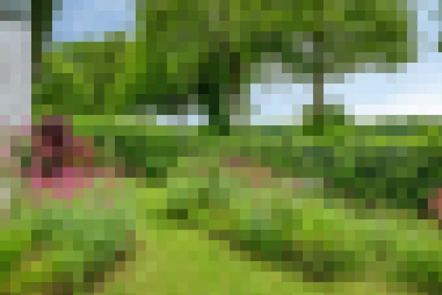 Trichterweg 16 Margraten thumbnail 37