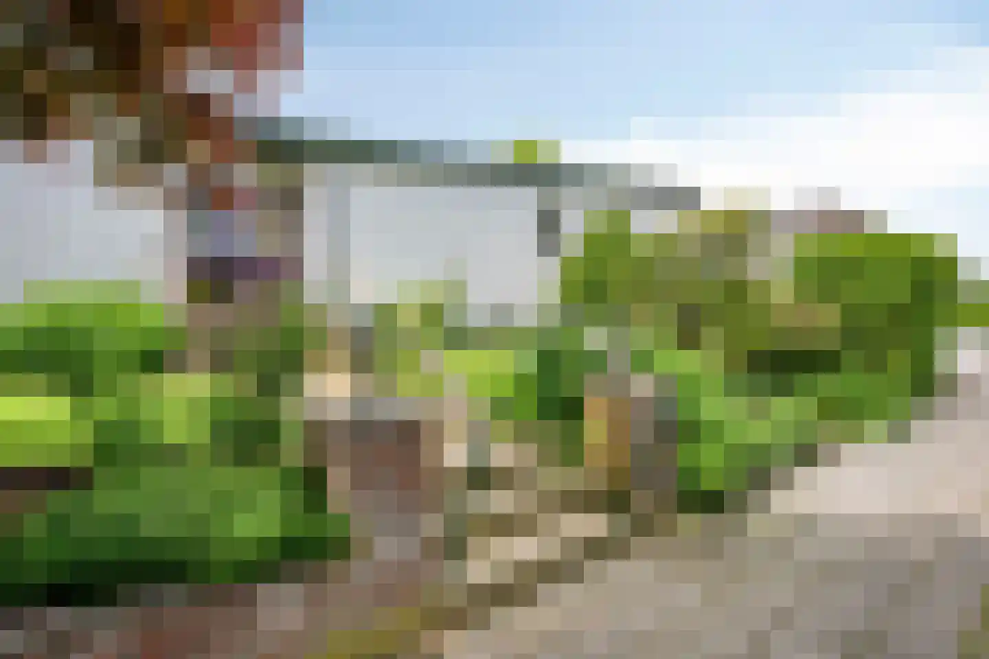 Trichterweg 16 Margraten thumbnail 39