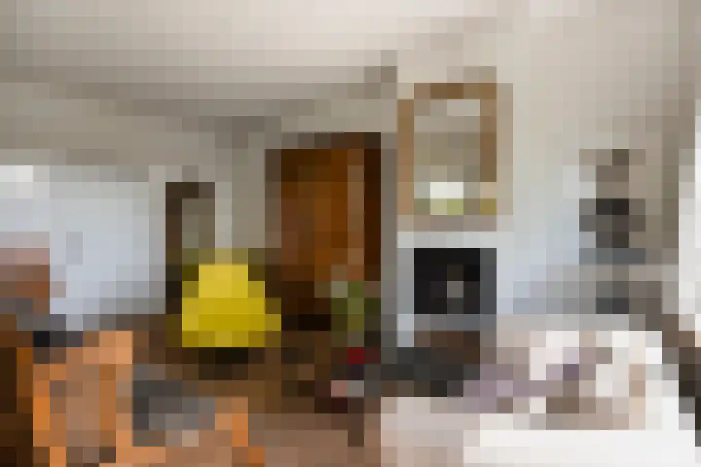 Trichterweg 16 Margraten thumbnail 5