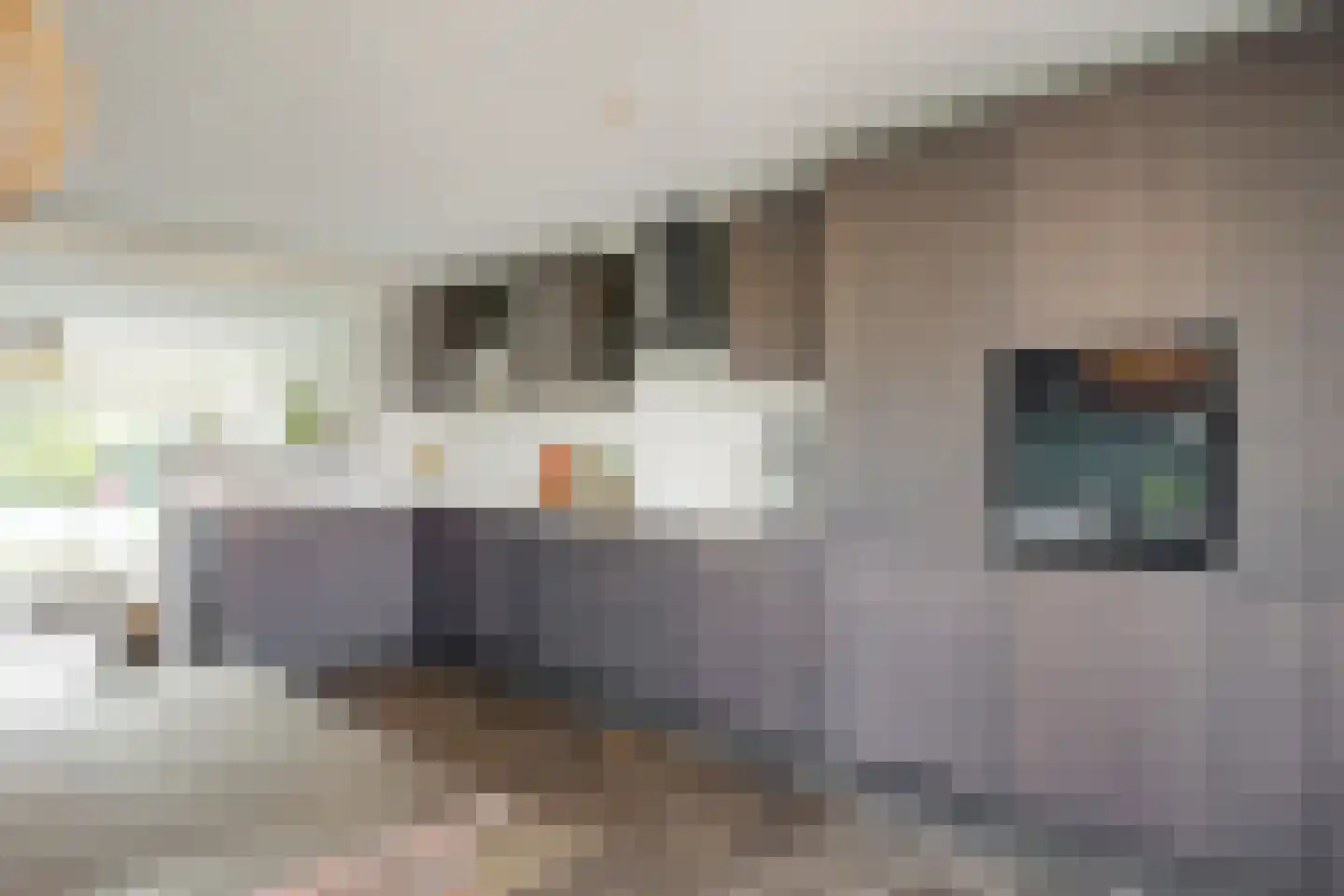 Trichterweg 203 Brunssum thumbnail 17