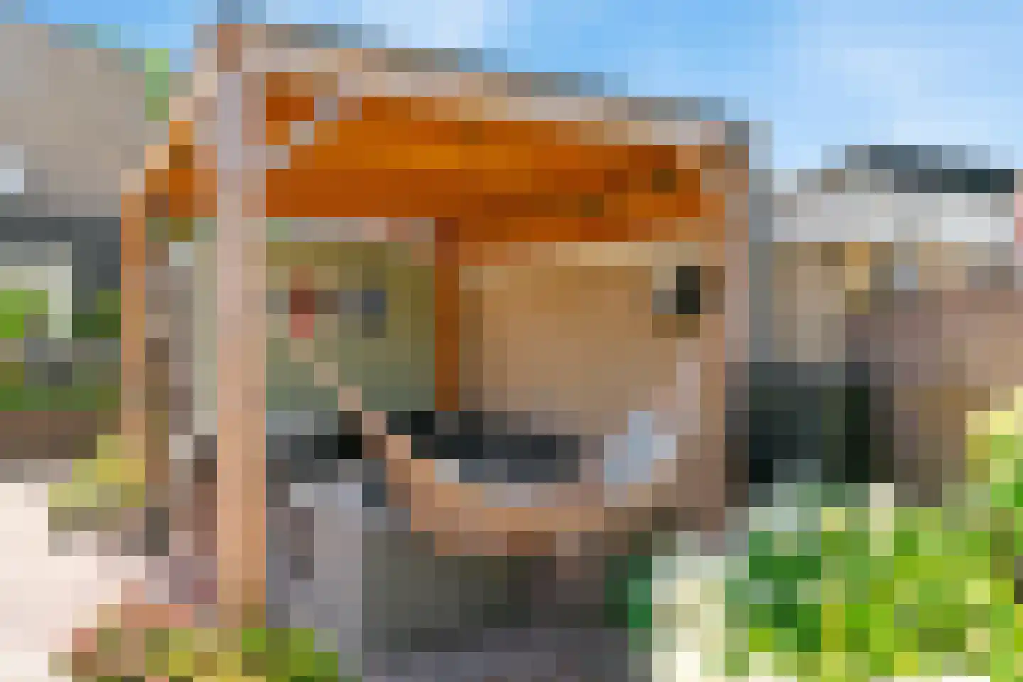 Trichterweg 203 Brunssum thumbnail 44