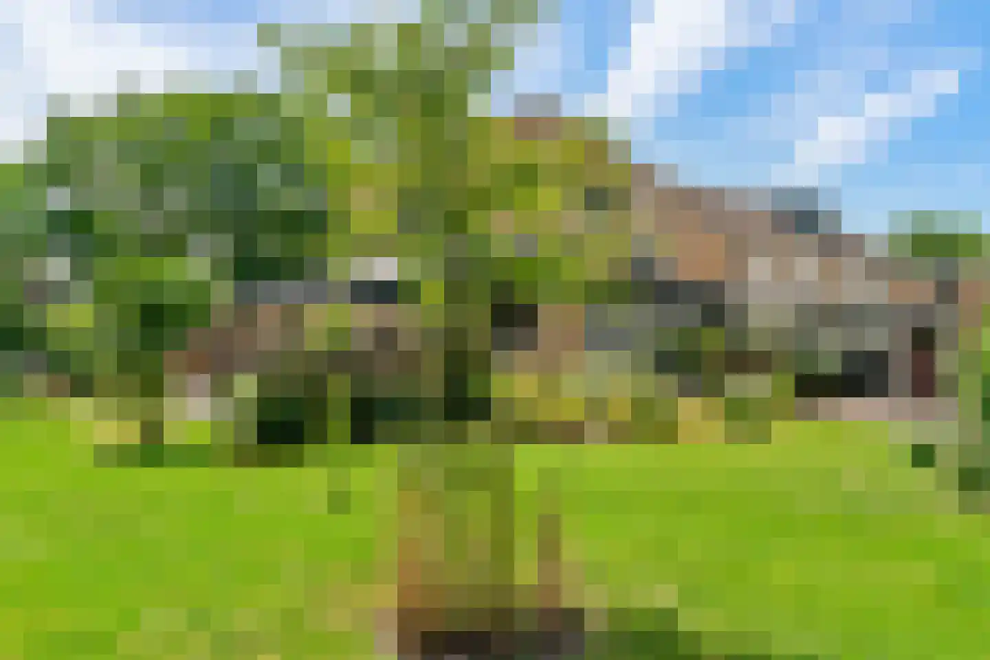 Trichterweg 203 Brunssum thumbnail 51
