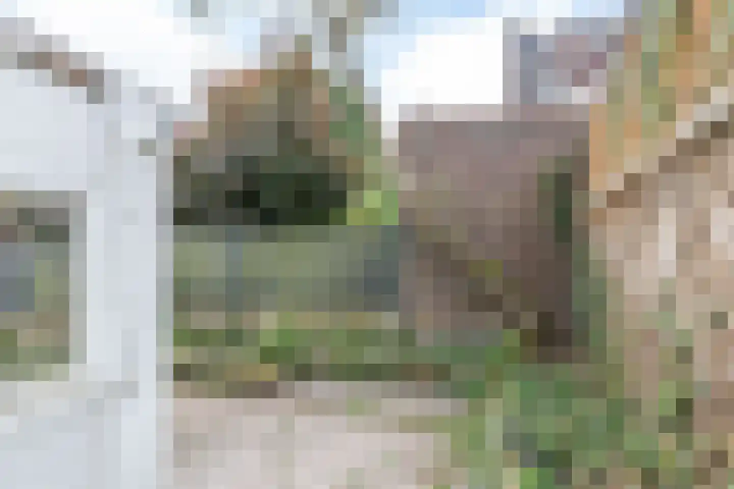 Trichterweg 4 Brunssum thumbnail 24