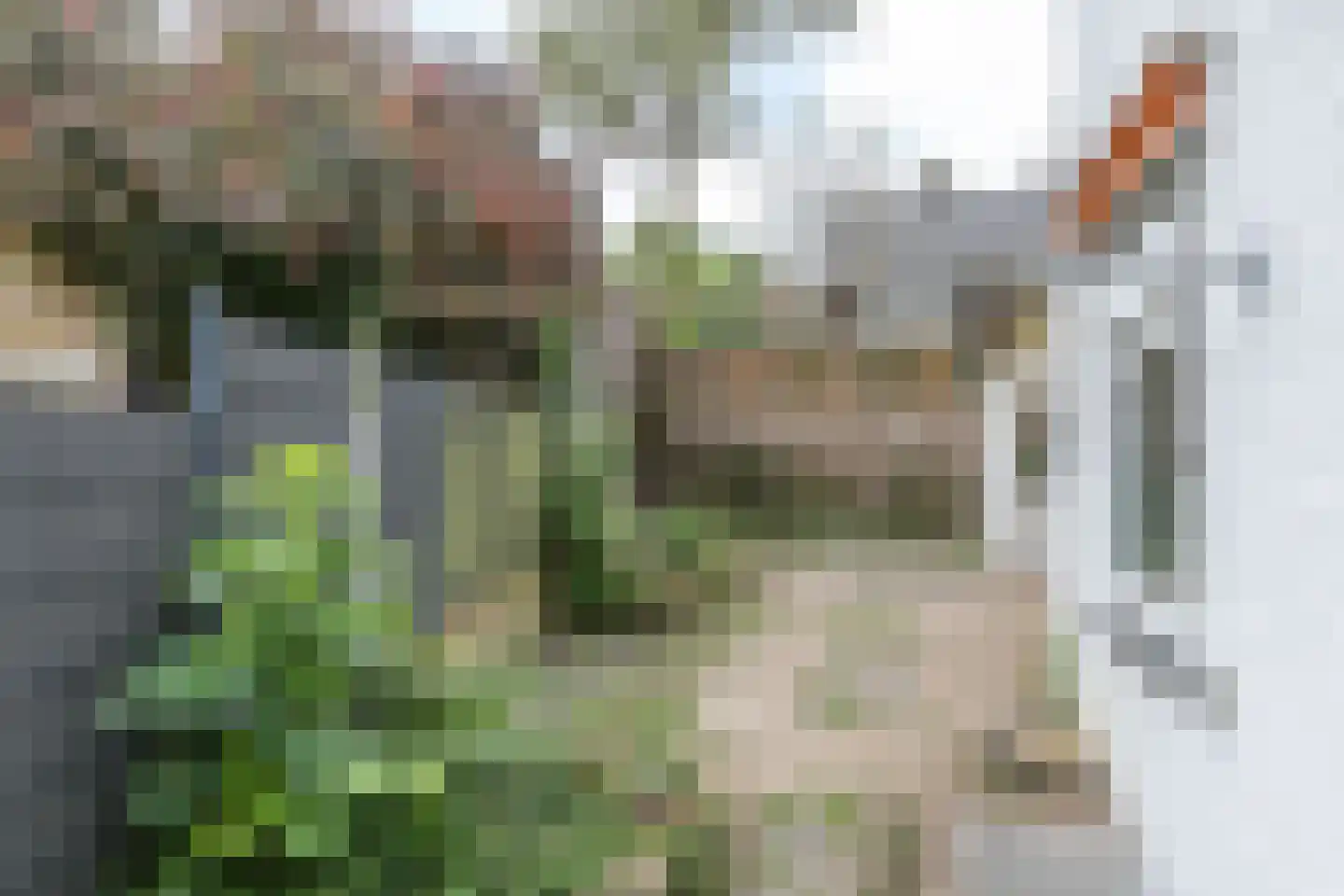 Trichterweg 4 Brunssum thumbnail 25