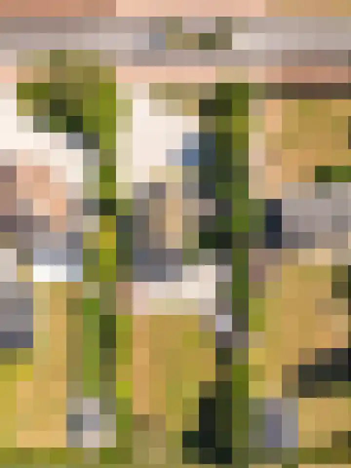 Trichterweg 47 Brunssum thumbnail 62