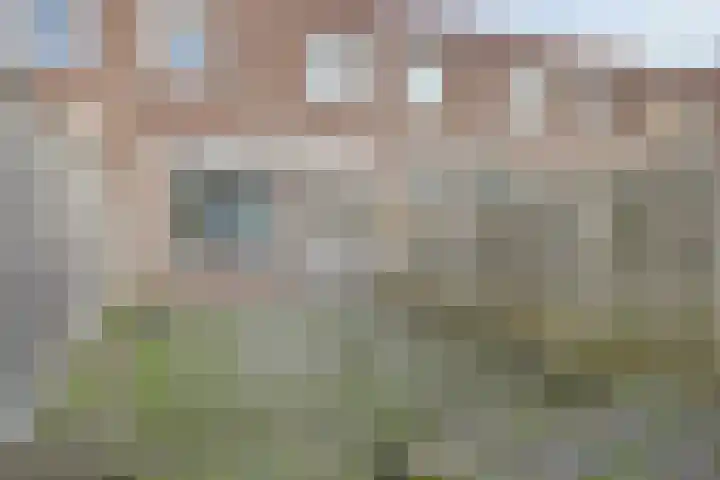 Trichtstraat 13 Amsterdam thumbnail 26