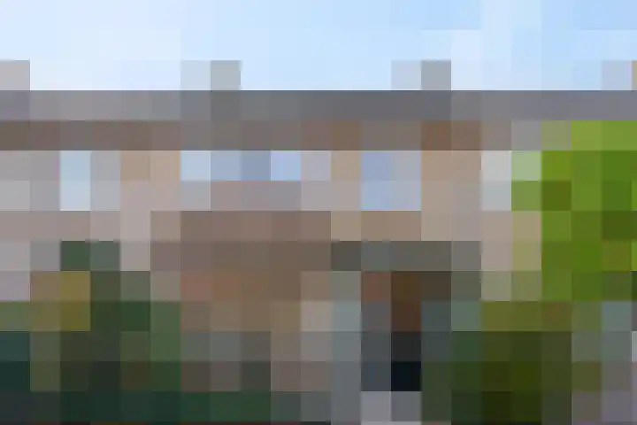 Trichtstraat 14 Tiel thumbnail 10