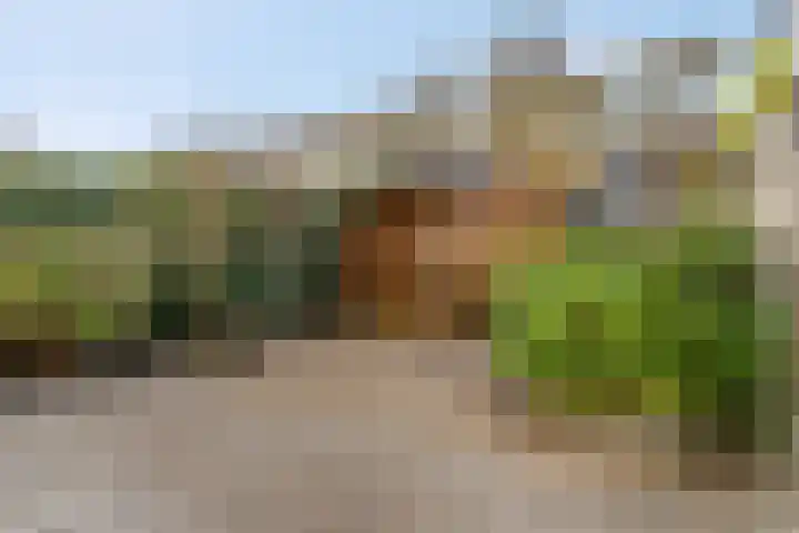 Trichtstraat 14 Tiel thumbnail 46