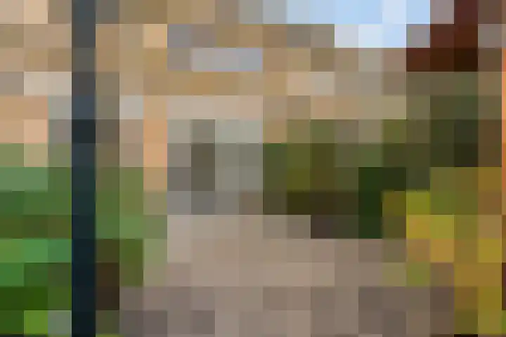 Trichtstraat 14 Tiel thumbnail 47