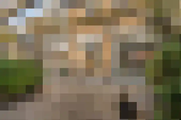 Trichtstraat 14 Tiel thumbnail 48