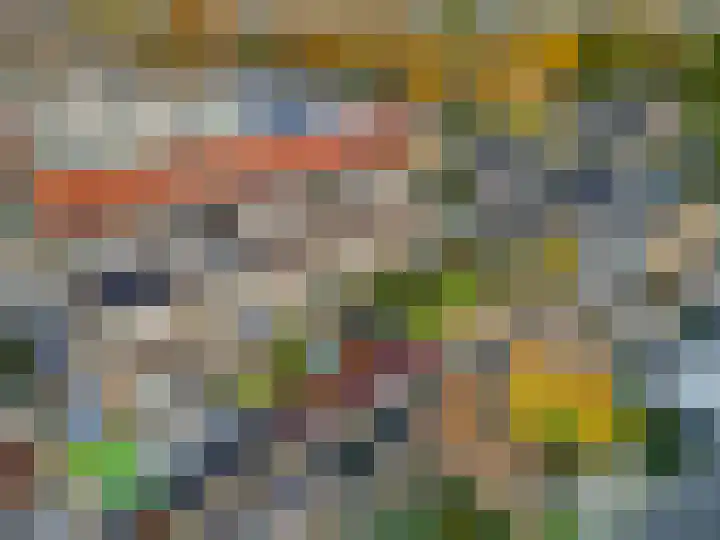 Trichtstraat 14 Tiel thumbnail 9