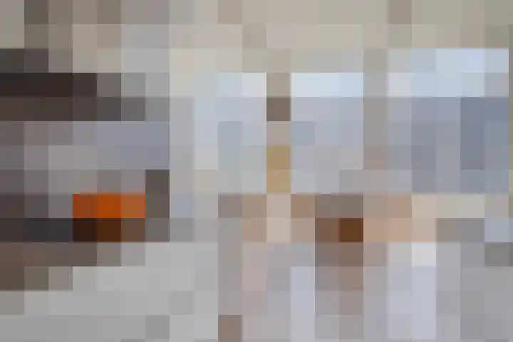 Tricot 27 Winterswijk thumbnail 33