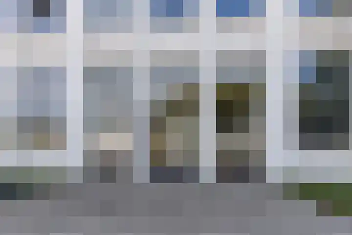 Tricot 27 Winterswijk thumbnail 6