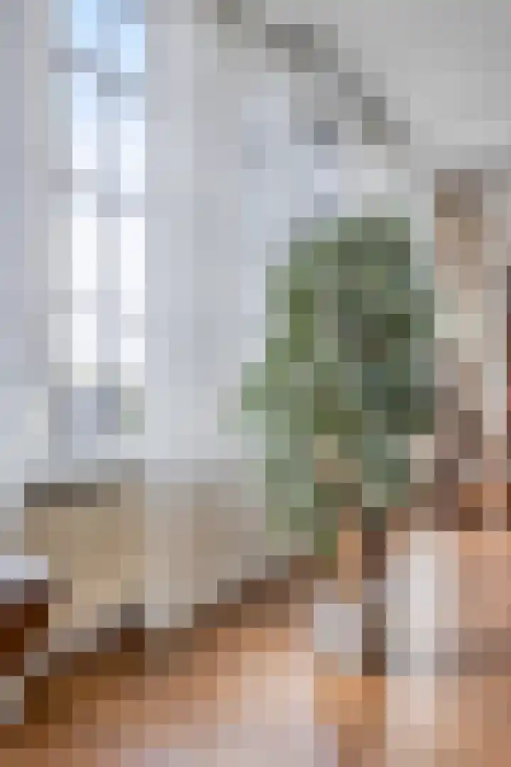 Tricot 57 Winterswijk thumbnail 31