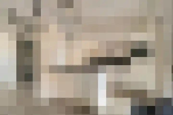 Tricotstraat 47 Geldrop thumbnail 17