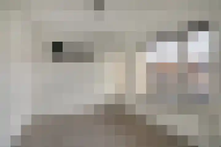 Tricotstraat 47 Geldrop thumbnail 26