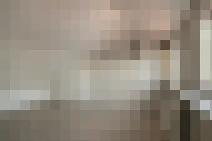 Tricotstraat 47 Geldrop thumbnail 29