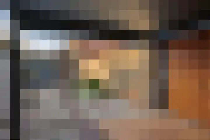 Tricotstraat 47 Geldrop thumbnail 32