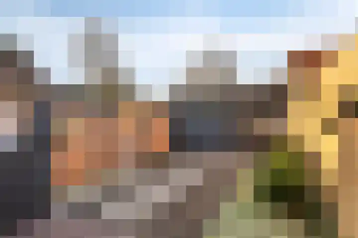Tricotstraat 47 Geldrop thumbnail 33