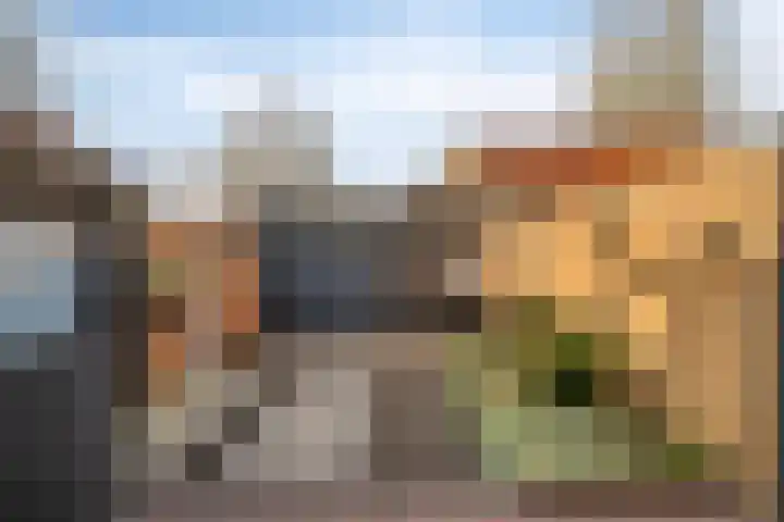 Tricotstraat 47 Geldrop thumbnail 34