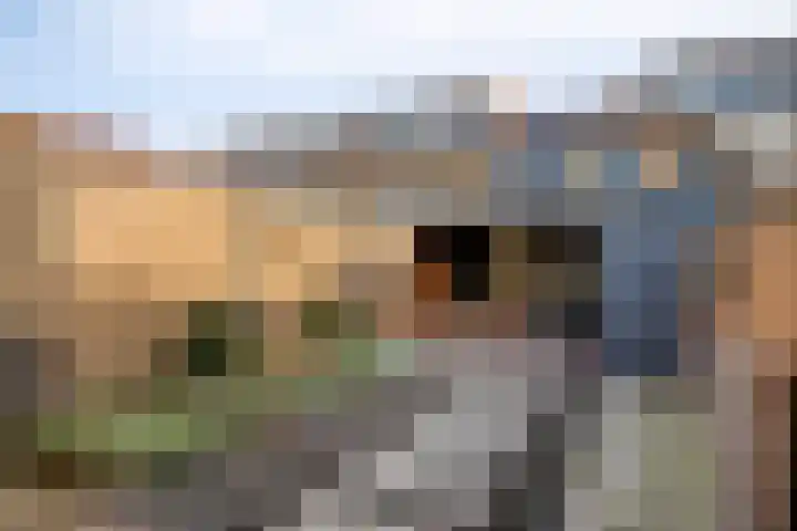Tricotstraat 47 Geldrop thumbnail 36